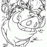 Timon e Pumba