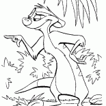 Filosofo-Meerkat