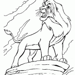 Simba sulla roccia