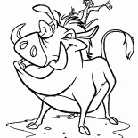 Timon e Pumba