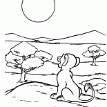 Simba e il sole