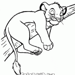 Simba sullalbero