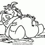 Meerkats e hog dormono