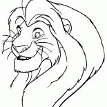 Simba è cresciuto