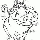 Pumbaa e divertente Meerkat
