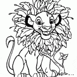 Mane cub