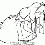 Meraviglioso giardino