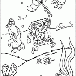 Amici cattura meduse