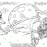 Meduse giganti