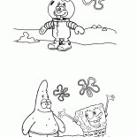 Amici Sponge Bob