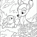 Lepre e Bambi