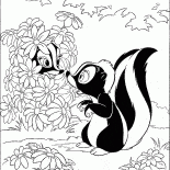 Skunks nascondere