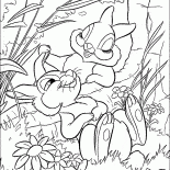 Mr. e Mrs. Hare
