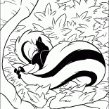 Skunk in vacanza