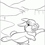 Lepre su un ghiaccio