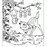 Opossum e Bambi