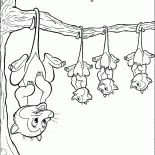 Opossum in attesa