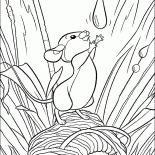 Foresta mouse