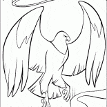 Aquila Guardiano