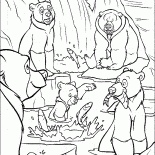 Anziani Orso