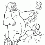 Attacchi Orso