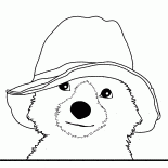 Orso Paddington