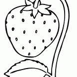 fragola
