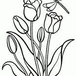 Tulipani