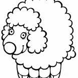 Buona agnello
