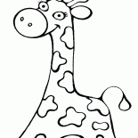 Giraffe camminare