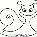 Lumaca sulla passeggiata