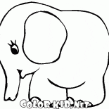 Piccolo elefante