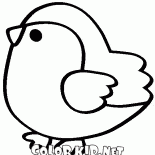 Cincia uccello