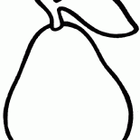 Sacco