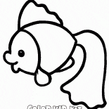Piccolo pesce