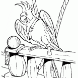 Parrot di Flint