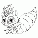 Raccoon Fiordaliso