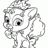 Kitten Lily