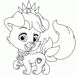 Puppy amici