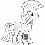 Zekora - Stilista