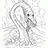 Drago di mare