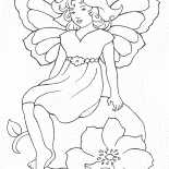 Buone Elfi