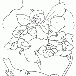 Ragazza Elfo e un uccello