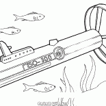 Mare ed oceano sonar