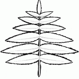 Sumac