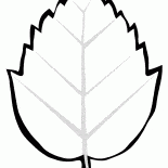 Albero a foglia