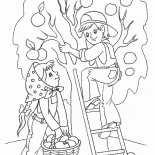 Raccolta di primavera