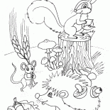 Animali fanno scorte