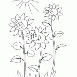 Girasoli