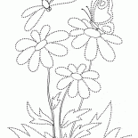 Farfalla su un fiore